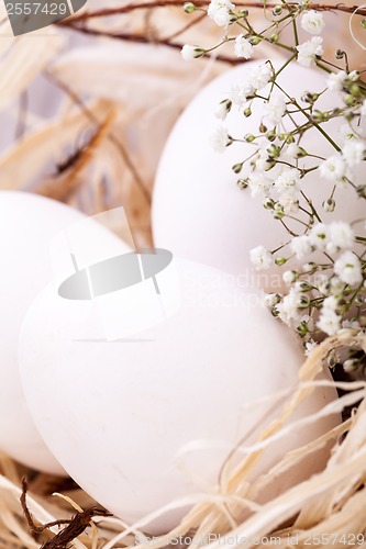 Image of Plain undecorated Easter eggs in a nest