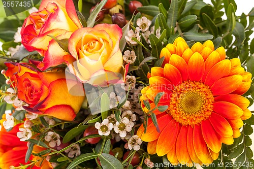 Image of Vivid orange gerbera daisy in a bouquet