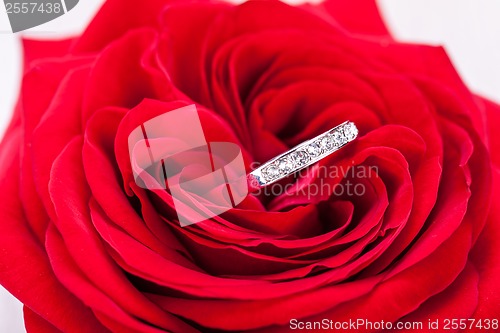 Image of Diamond engagement ring in the heart of a red rose
