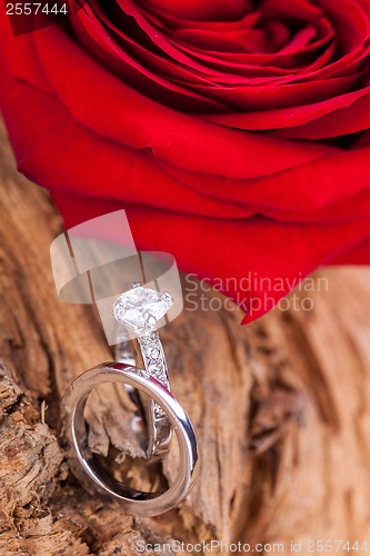 Image of beautiful ring on wooden background and red rose