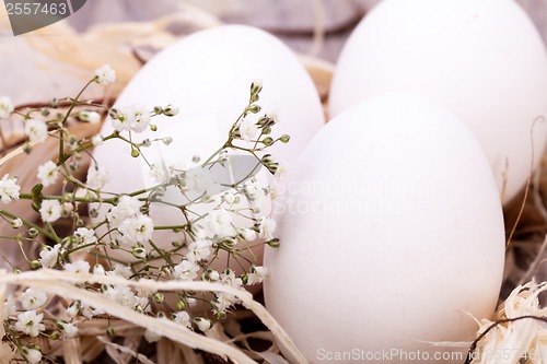 Image of Plain undecorated Easter eggs in a nest