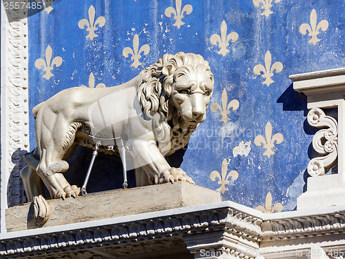 Image of Lion Statue in Florence