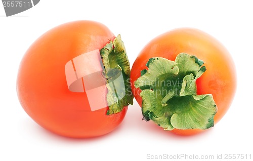 Image of Persimmon