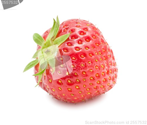 Image of Strawberry