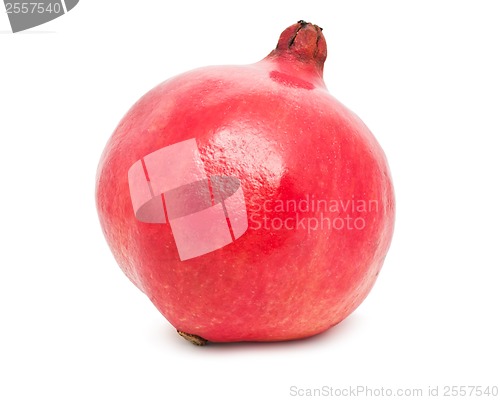 Image of Pomegranate