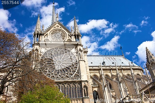 Image of Notre Dame de Paris