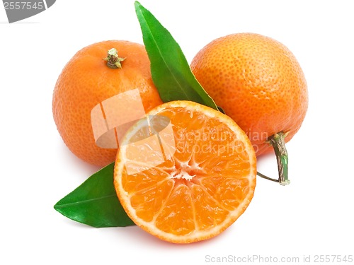 Image of Tangerines