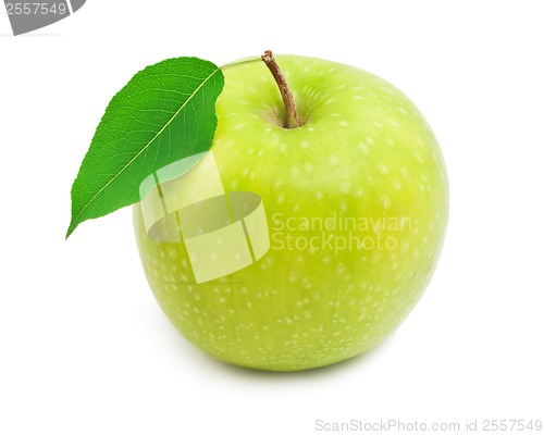 Image of Apple
