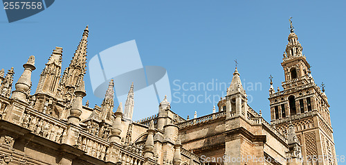 Image of Seville Cathedral