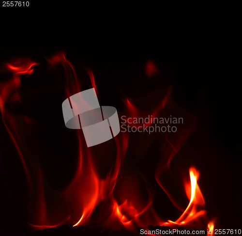 Image of Fire flames