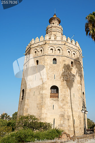 Image of Torre del Oro or Gold Tower in Seville