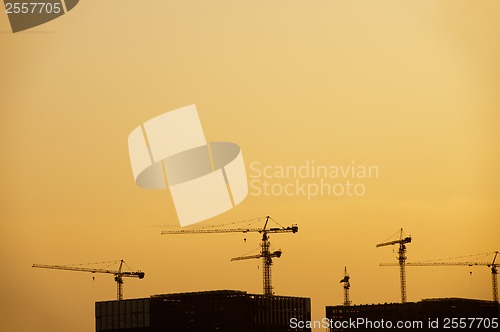 Image of Cranes silhouette