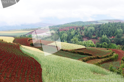 Image of China rural landscape