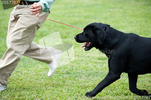 Image of Master playing with his dog