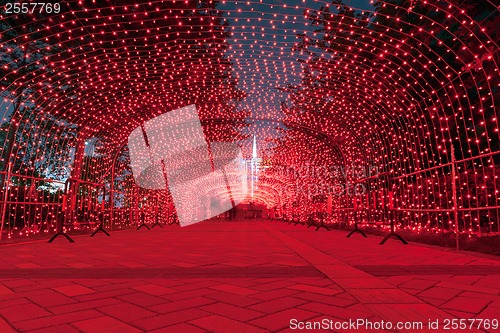 Image of neon light over the ground