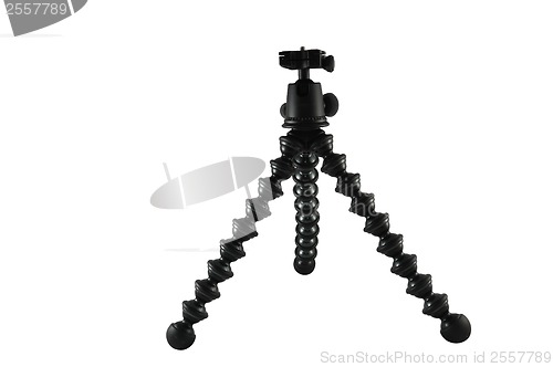 Image of Flexible mini tripod