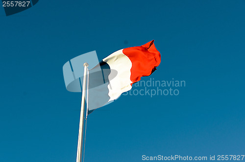 Image of French Flag