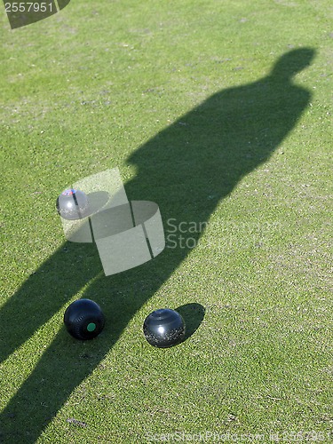 Image of Bowls