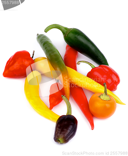 Image of Chili Peppers