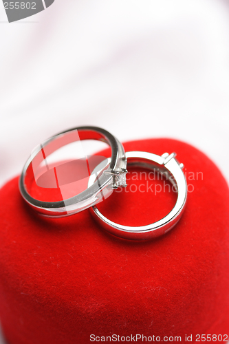 Image of Wedding rings