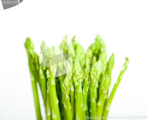 Image of fresh asparagus over white