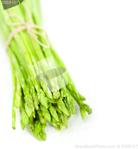 Image of fresh asparagus over white