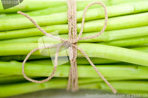 Image of fresh asparagus over white