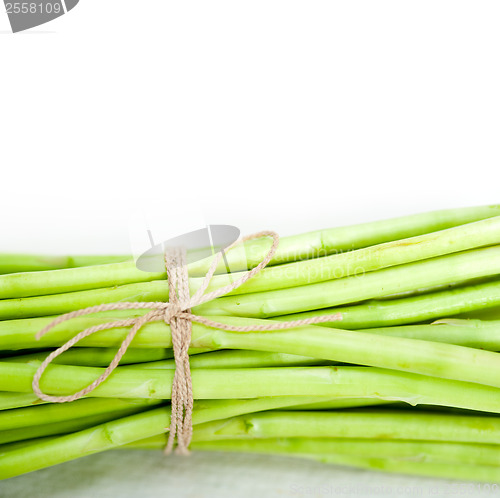 Image of fresh asparagus over white