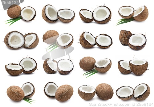 Image of Coconuts