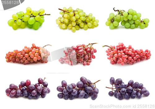 Image of Grapes