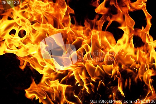 Image of Fire