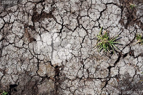 Image of Dry land