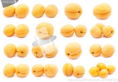 Image of Lemons