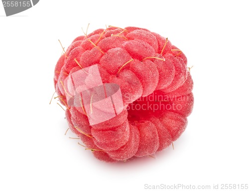 Image of Fresh raspberry