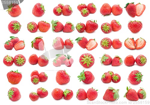 Image of Strawberry