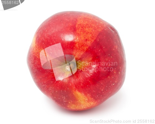 Image of Apple