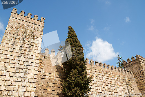 Image of Real Alcazar of Seville