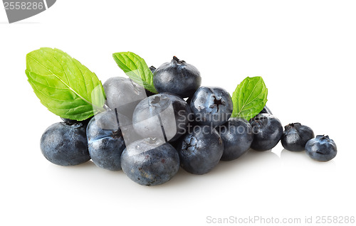 Image of Useful blueberries