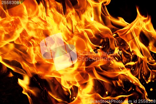 Image of Fire