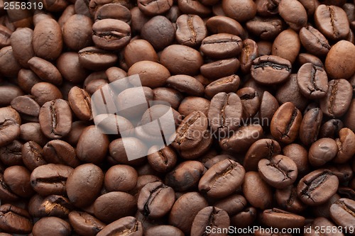 Image of Coffee beans