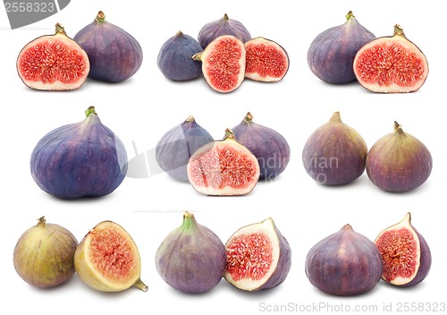 Image of Fig