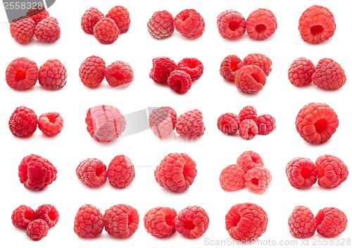 Image of Raspberries