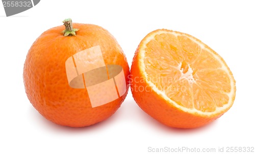 Image of Tangerines