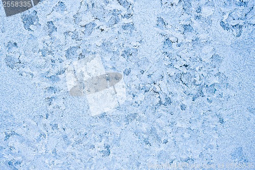 Image of Frost pattern