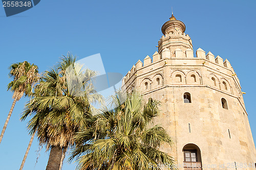 Image of Torre del Oro or Gold Tower in Seville