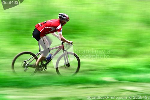 Image of Mountain bike race