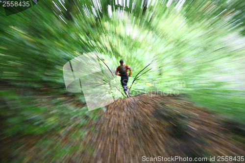 Image of Man running in a forest