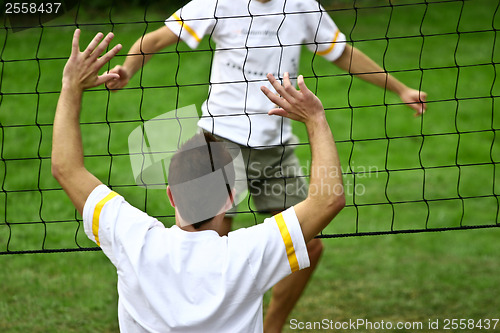 Image of Playing volleyball 