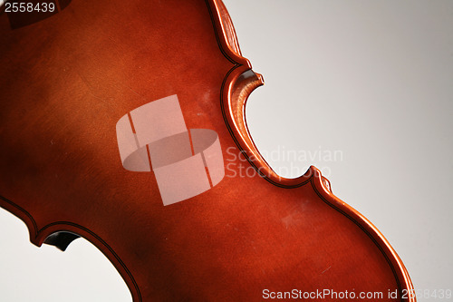 Image of Violin