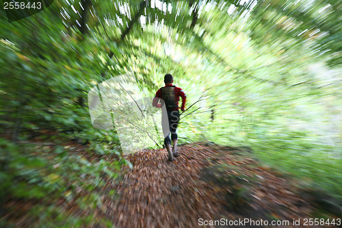 Image of Man running in a forest